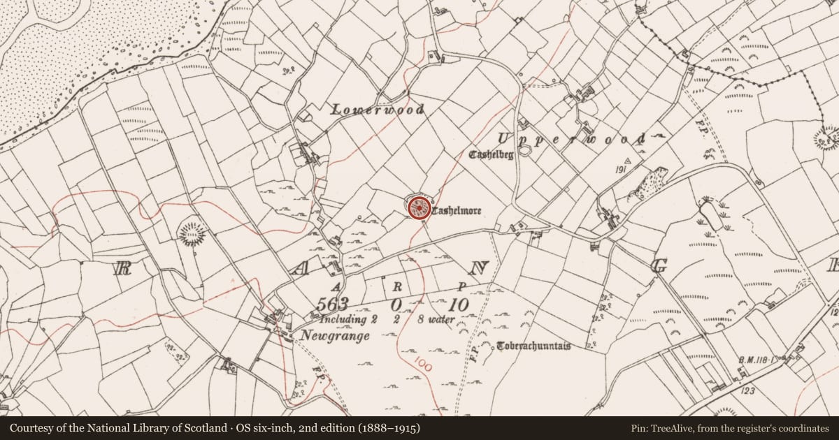 Ordnance Survey six-inch map, 2nd edition (1888–1915) covering the location of Ringfort - cashel, Grange, County Sligo, with a pin at the register's coordinates
