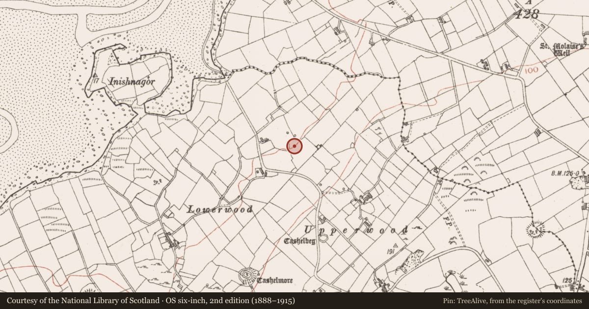 Ordnance Survey six-inch map, 2nd edition (1888–1915) covering the location of Ringfort - unclassified, Grange, County Sligo, with a pin at the register's coordinates