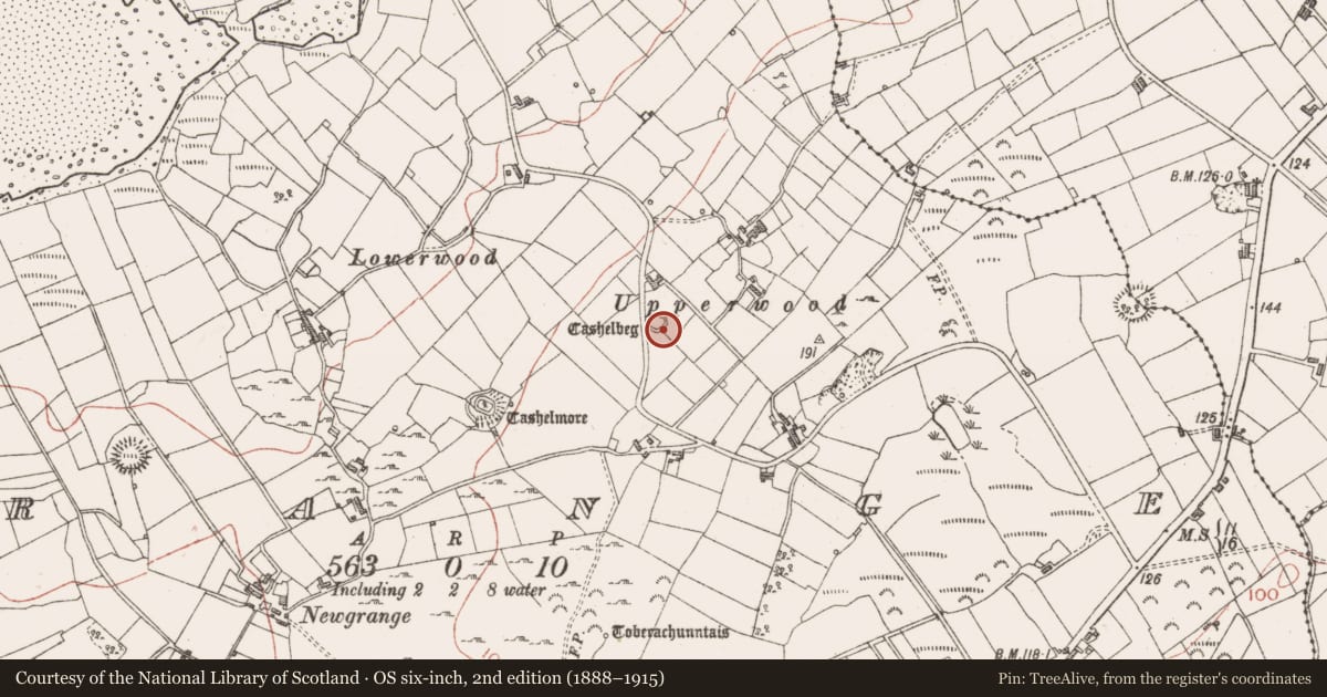 Ordnance Survey six-inch map, 2nd edition (1888–1915) covering the location of Ringfort - cashel, Grange, County Sligo, with a pin at the register's coordinates
