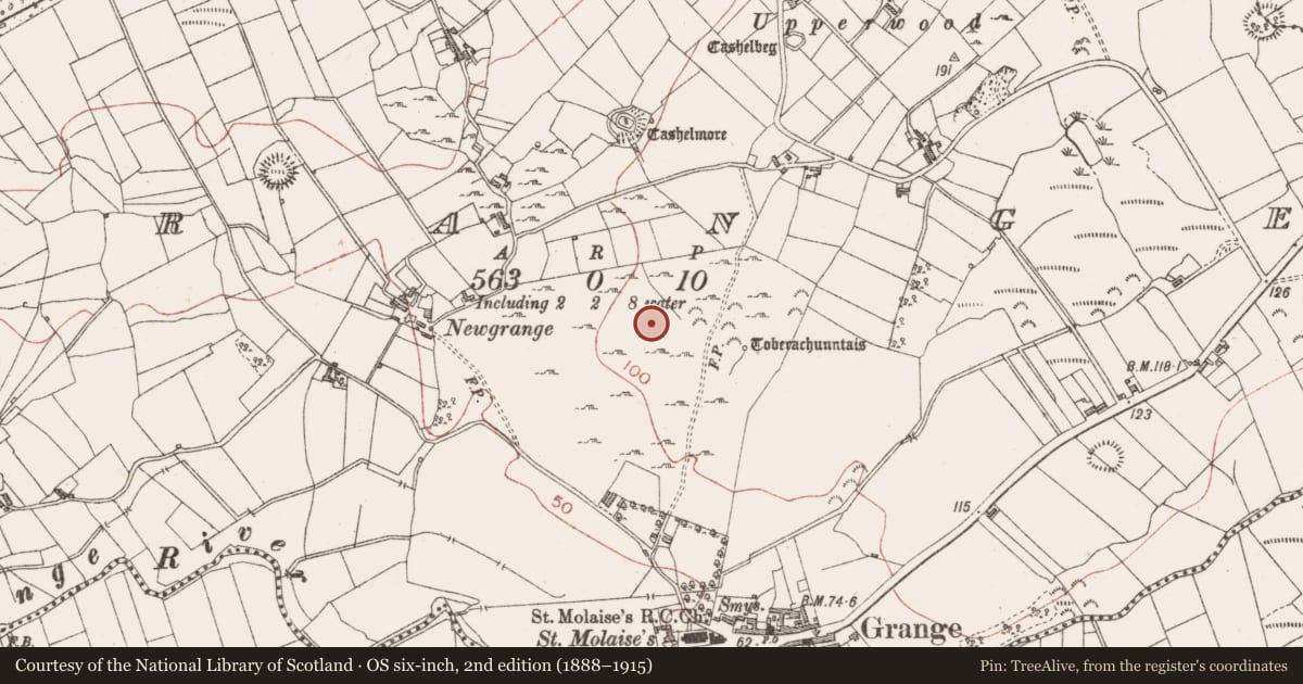 Ordnance Survey six-inch map, 2nd edition (1888–1915) covering the location of Settlement cluster, Grange, County Sligo, with a pin at the register's coordinates