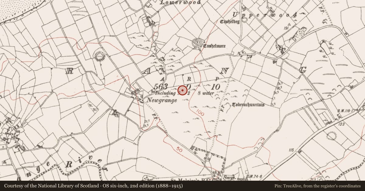 Ordnance Survey six-inch map, 2nd edition (1888–1915) covering the location of Hut site, Grange, County Sligo, with a pin at the register's coordinates
