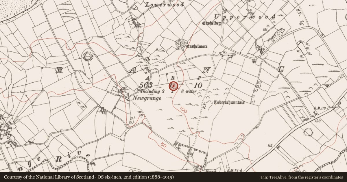 Ordnance Survey six-inch map, 2nd edition (1888–1915) covering the location of Hut site, Grange, County Sligo, with a pin at the register's coordinates