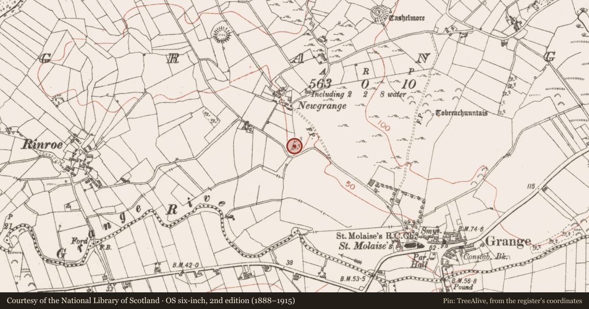 Ordnance Survey six-inch map, 2nd edition (1888–1915) covering the location of Kiln, Grange, County Sligo, with a pin at the register's coordinates