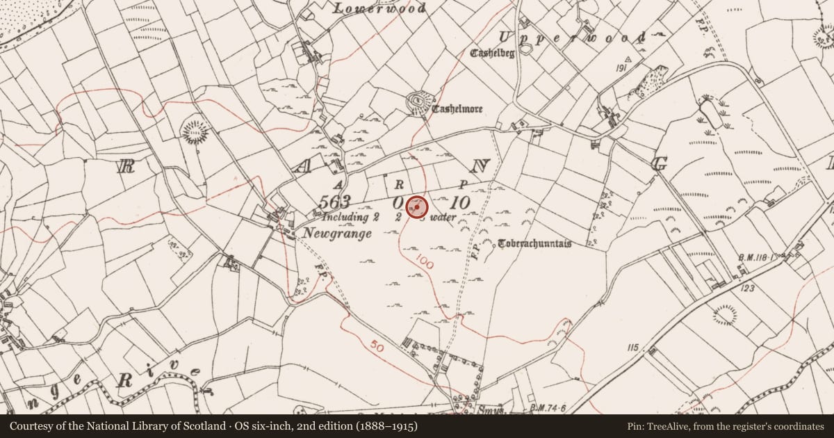 Ordnance Survey six-inch map, 2nd edition (1888–1915) covering the location of Hut site, Grange, County Sligo, with a pin at the register's coordinates