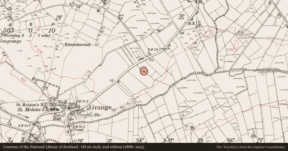 Ordnance Survey six-inch map, 2nd edition (1888–1915) covering the location of Ringfort - rath, Grange, County Sligo, with a pin at the register's coordinates