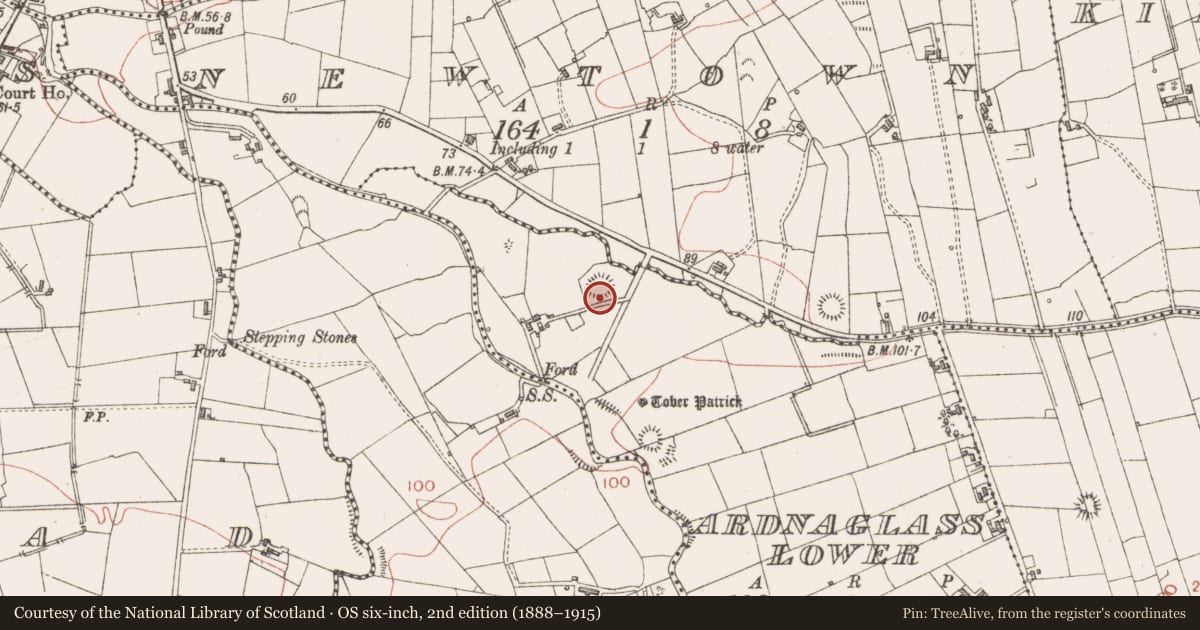 Ordnance Survey six-inch map, 2nd edition (1888–1915) covering the location of Ringfort - rath, Ardnaglass Lower, County Sligo, with a pin at the register's coordinates