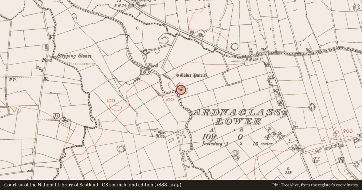 Ordnance Survey six-inch map, 2nd edition (1888–1915) covering the location of Ringfort - rath, Ardnaglass Lower, County Sligo, with a pin at the register's coordinates
