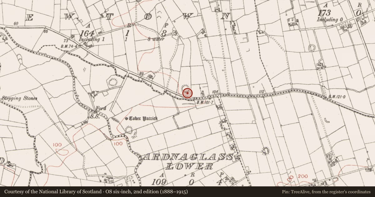 Ordnance Survey six-inch map, 2nd edition (1888–1915) covering the location of Ringfort - rath, Newtown, County Sligo, with a pin at the register's coordinates