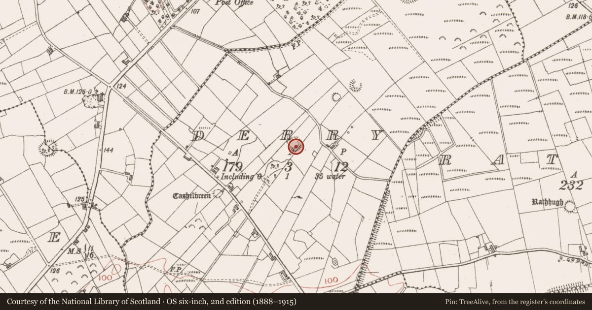 Ordnance Survey six-inch map, 2nd edition (1888–1915) covering the location of Ringfort - cashel, Derry, County Sligo, with a pin at the register's coordinates