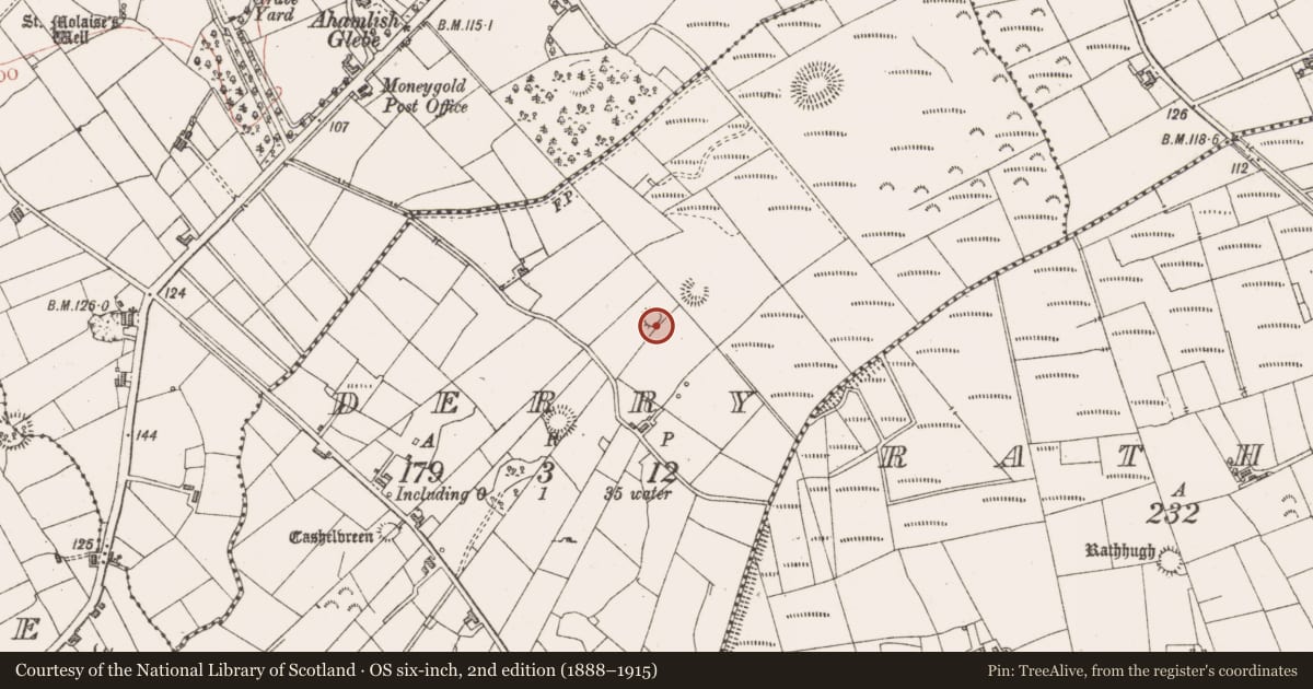 Ordnance Survey six-inch map, 2nd edition (1888–1915) covering the location of Ringfort - cashel, Derry, County Sligo, with a pin at the register's coordinates