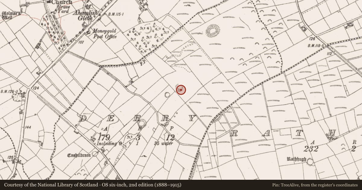 Ordnance Survey six-inch map, 2nd edition (1888–1915) covering the location of Ringfort - cashel, Derry, County Sligo, with a pin at the register's coordinates