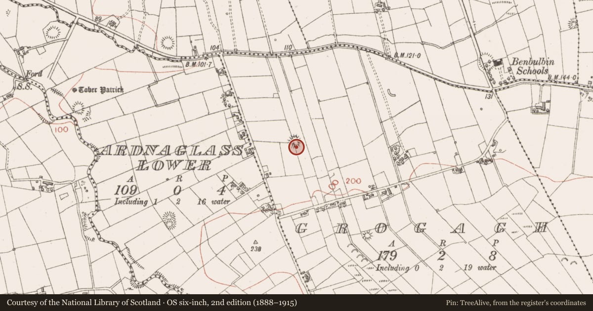 Ordnance Survey six-inch map, 2nd edition (1888–1915) covering the location of Ringfort - rath, Grogagh, County Sligo, with a pin at the register's coordinates