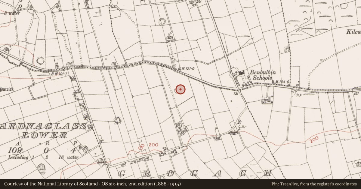 Ordnance Survey six-inch map, 2nd edition (1888–1915) covering the location of Ringfort - cashel, Grogagh, County Sligo, with a pin at the register's coordinates