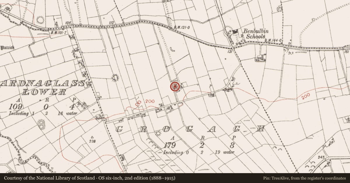 Ordnance Survey six-inch map, 2nd edition (1888–1915) covering the location of Ringfort - unclassified, Grogagh, County Sligo, with a pin at the register's coordinates