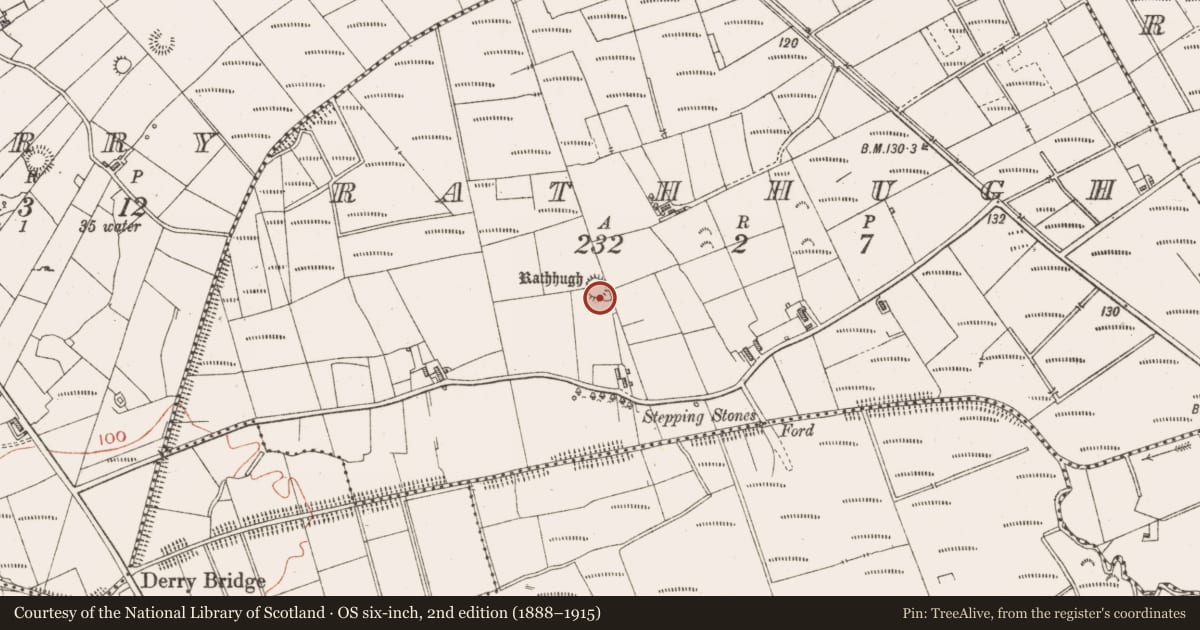 Ordnance Survey six-inch map, 2nd edition (1888–1915) covering the location of Ringfort - rath, Rathhugh, County Sligo, with a pin at the register's coordinates