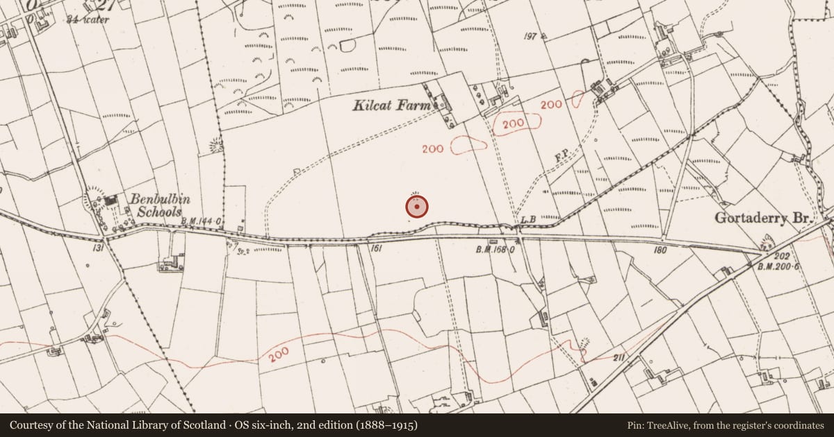 Ordnance Survey six-inch map, 2nd edition (1888–1915) covering the location of Enclosure, Kilcat, County Sligo, with a pin at the register's coordinates