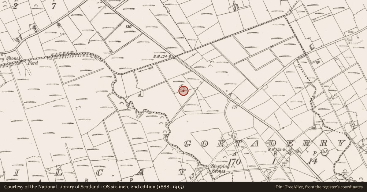 Ordnance Survey six-inch map, 2nd edition (1888–1915) covering the location of Ringfort - rath, Gortaderry, County Sligo, with a pin at the register's coordinates