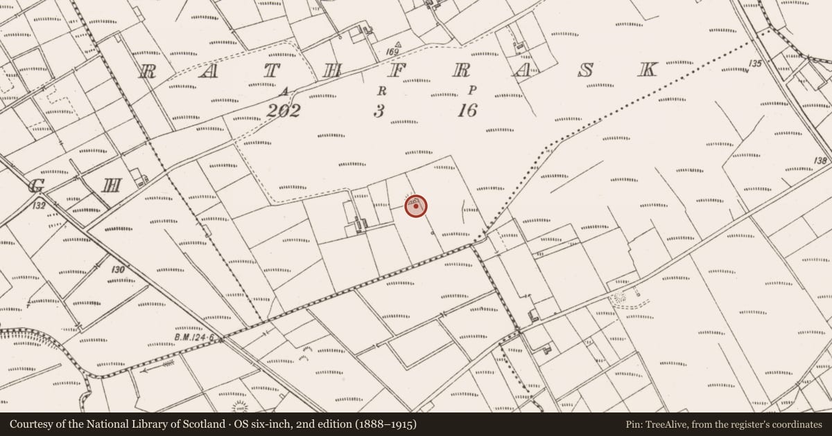 Ordnance Survey six-inch map, 2nd edition (1888–1915) covering the location of Enclosure, Rathfrask, County Sligo, with a pin at the register's coordinates