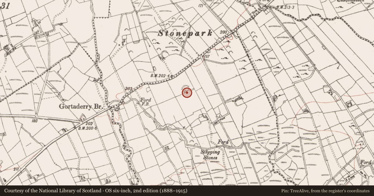 Ordnance Survey six-inch map, 2nd edition (1888–1915) covering the location of Ringfort - cashel, Lyle, County Sligo, with a pin at the register's coordinates