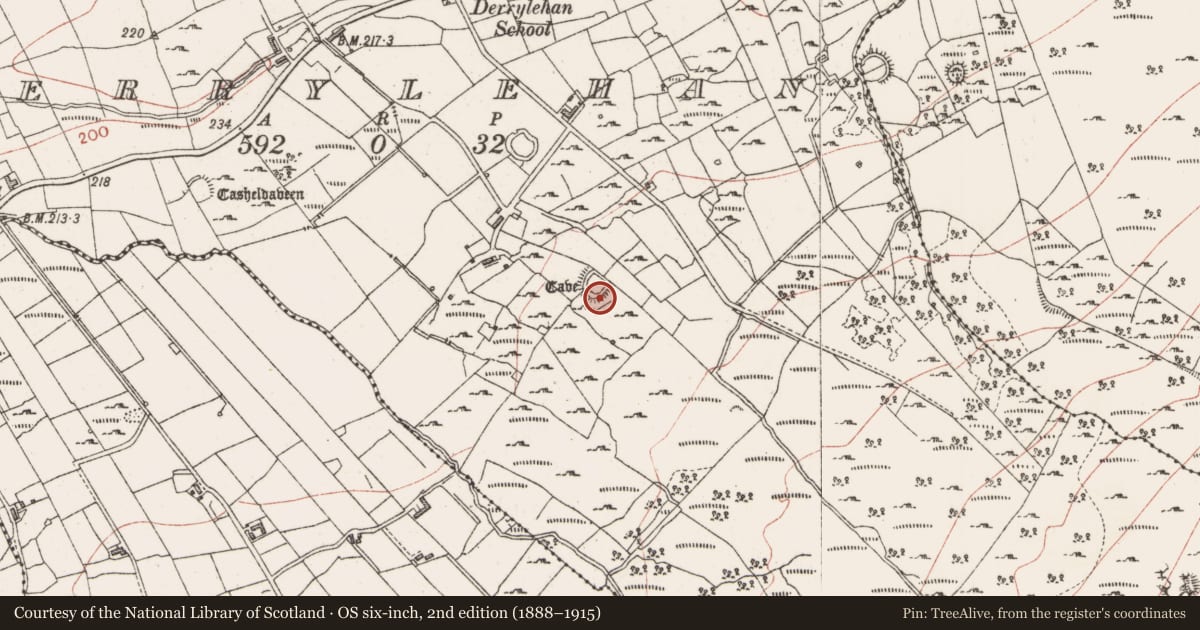 Ordnance Survey six-inch map, 2nd edition (1888–1915) covering the location of Souterrain, Derrylehan, County Sligo, with a pin at the register's coordinates