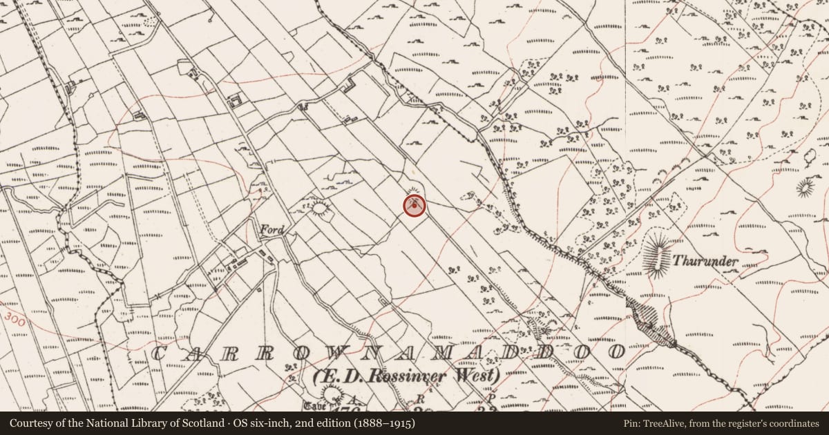 Ordnance Survey six-inch map, 2nd edition (1888–1915) covering the location of Ringfort - cashel, Carrownamaddoo, County Sligo, with a pin at the register's coordinates