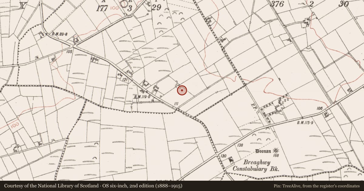 Ordnance Survey six-inch map, 2nd edition (1888–1915) covering the location of Megalithic tomb - court tomb, Doonshaskin, County Sligo, with a pin at the register's coordinates