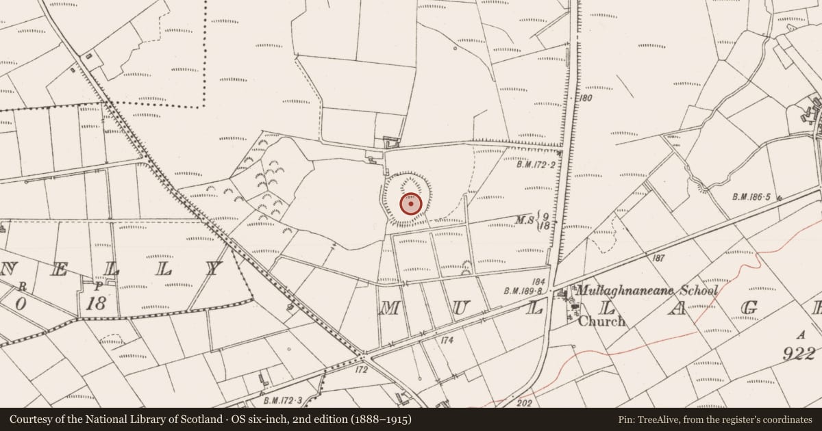 Ordnance Survey six-inch map, 2nd edition (1888–1915) covering the location of Enclosure, Mullaghnaneane, County Sligo, with a pin at the register's coordinates