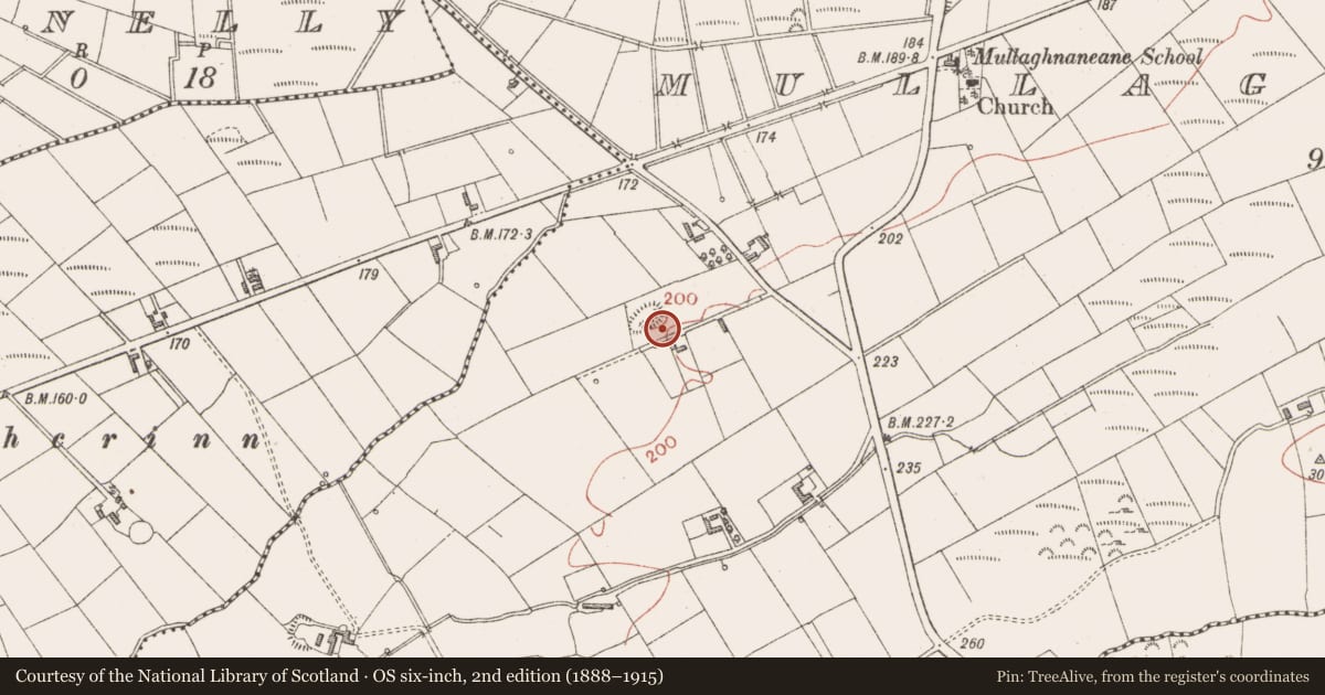 Ordnance Survey six-inch map, 2nd edition (1888–1915) covering the location of Ringfort - rath, Mullaghnaneane, County Sligo, with a pin at the register's coordinates