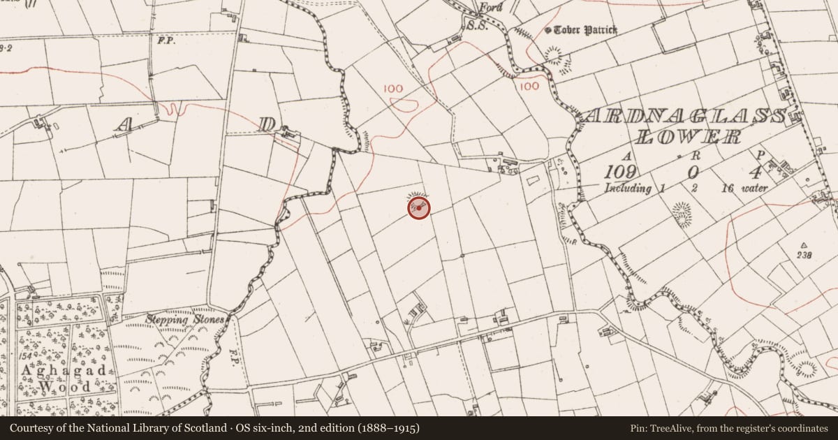 Ordnance Survey six-inch map, 2nd edition (1888–1915) covering the location of Ringfort - cashel, Barnaderg, County Sligo, with a pin at the register's coordinates