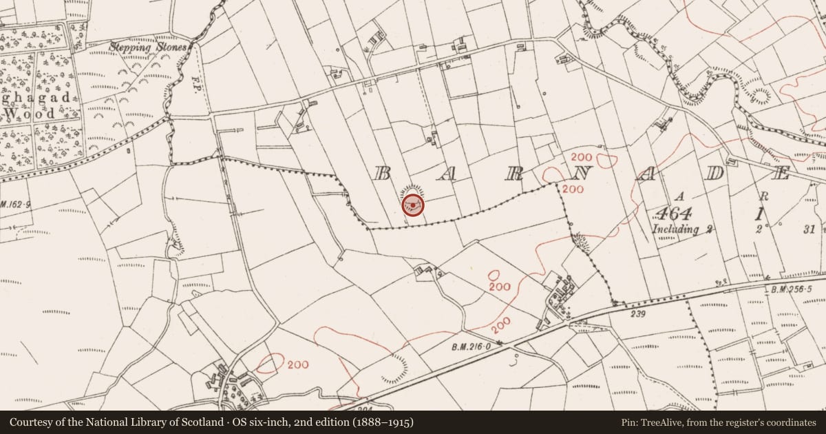 Ordnance Survey six-inch map, 2nd edition (1888–1915) covering the location of Ringfort - cashel, Barnaderg, County Sligo, with a pin at the register's coordinates