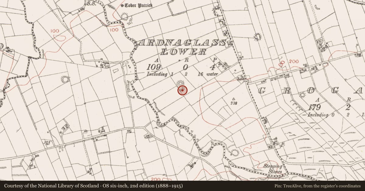 Ordnance Survey six-inch map, 2nd edition (1888–1915) covering the location of Ringfort - rath, Ardnaglass Lower, County Sligo, with a pin at the register's coordinates