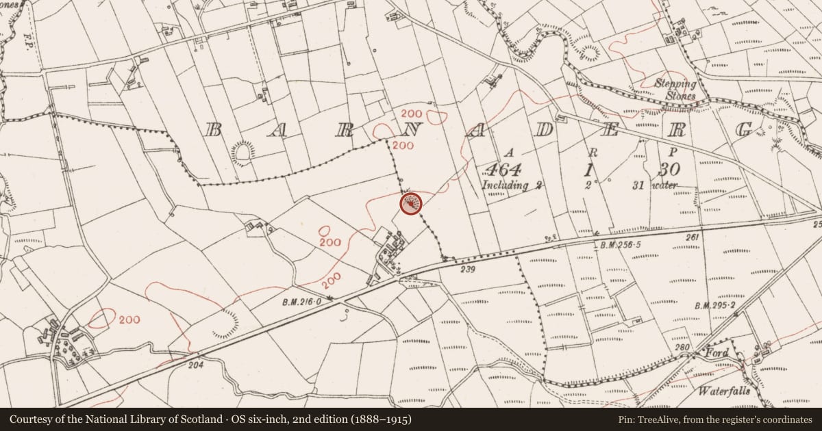 Ordnance Survey six-inch map, 2nd edition (1888–1915) covering the location of Enclosure, Barnaderg, County Sligo, with a pin at the register's coordinates