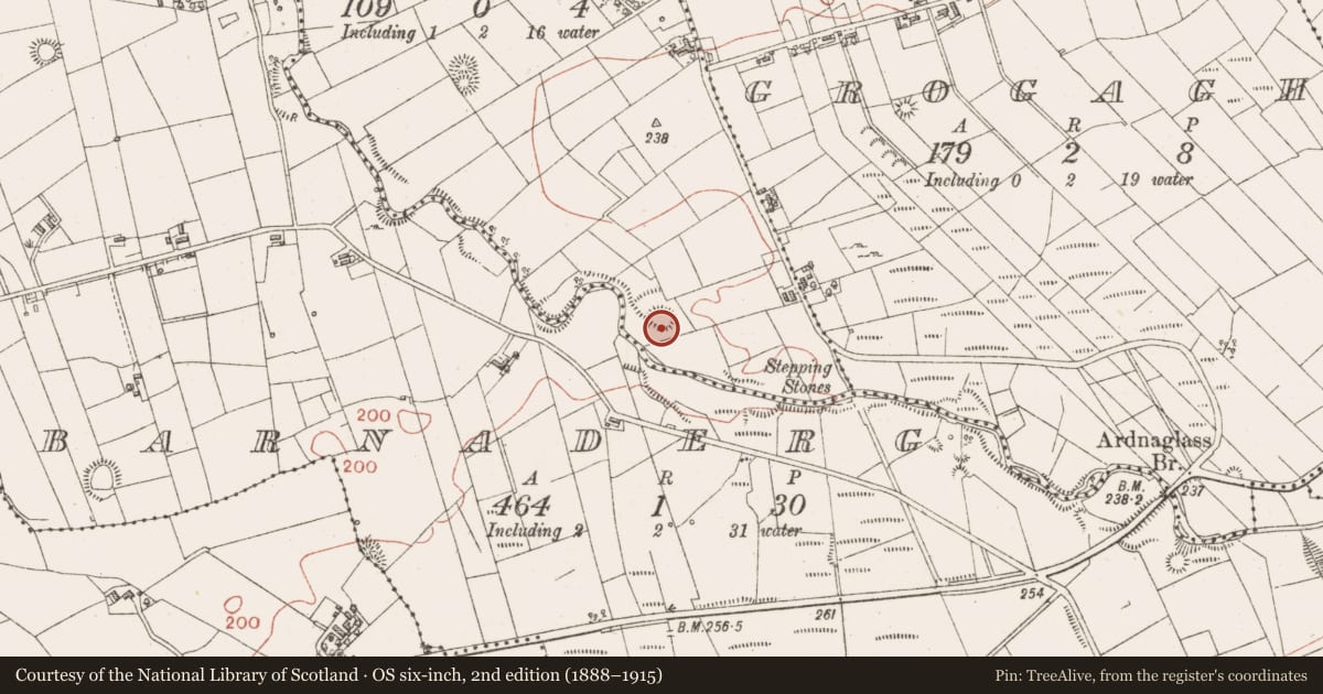 Ordnance Survey six-inch map, 2nd edition (1888–1915) covering the location of Ringfort - cashel, Ardnaglass Lower, County Sligo, with a pin at the register's coordinates