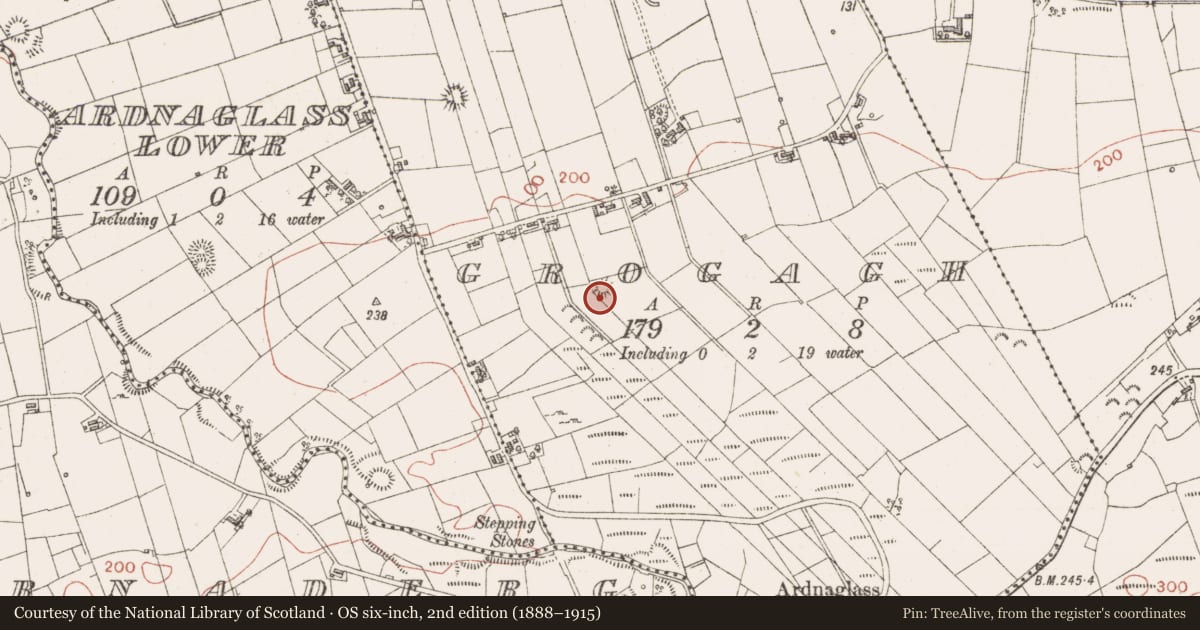 Ordnance Survey six-inch map, 2nd edition (1888–1915) covering the location of Enclosure, Grogagh, County Sligo, with a pin at the register's coordinates