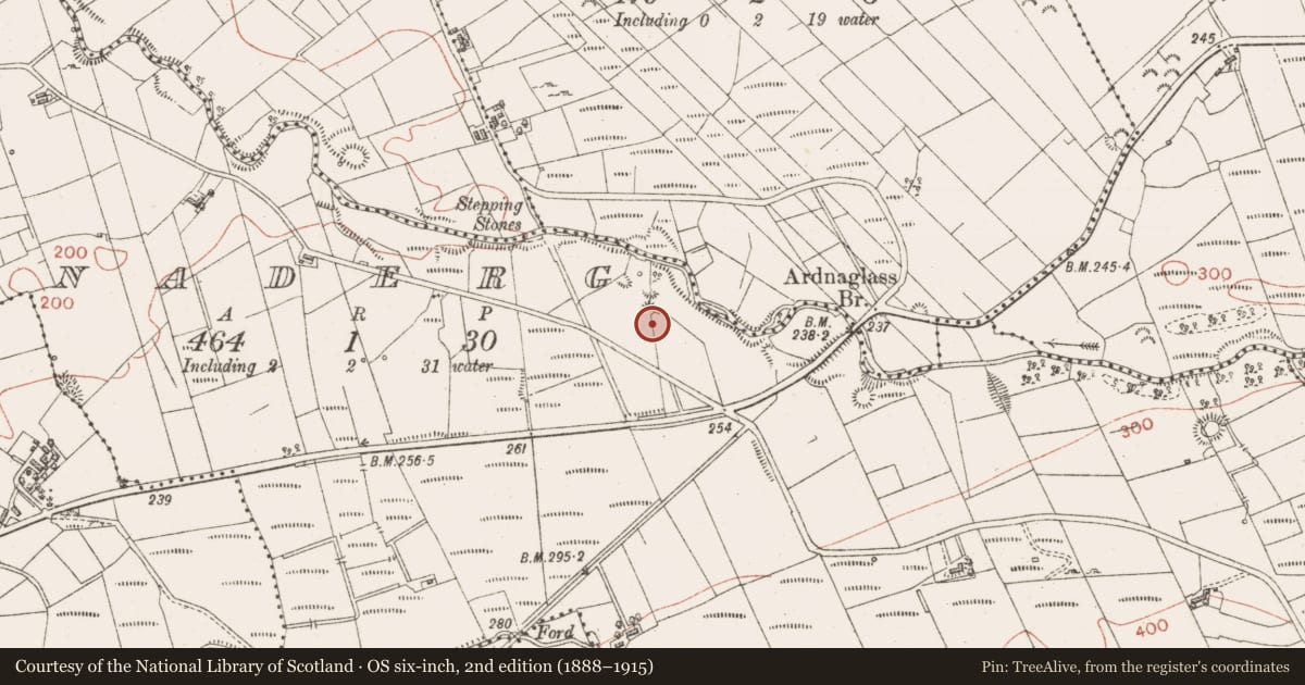 Ordnance Survey six-inch map, 2nd edition (1888–1915) covering the location of Enclosure, Barnaderg, County Sligo, with a pin at the register's coordinates