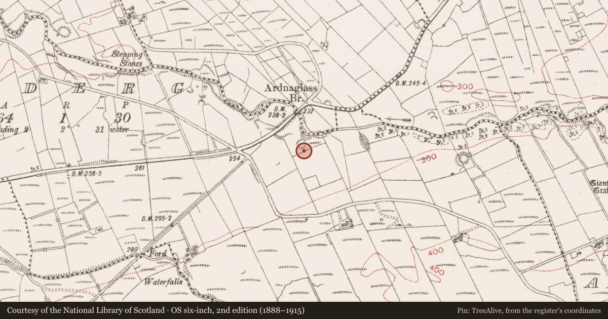 Ordnance Survey six-inch map, 2nd edition (1888–1915) covering the location of Ringfort - cashel, Barnaderg, County Sligo, with a pin at the register's coordinates