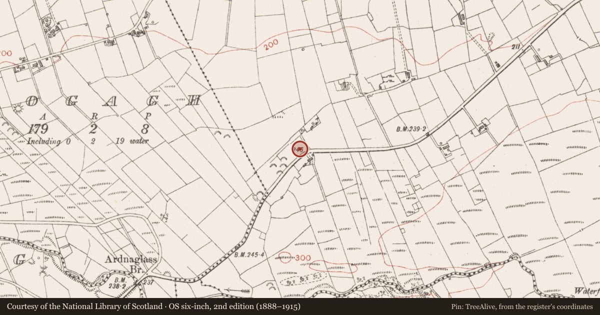 Ordnance Survey six-inch map, 2nd edition (1888–1915) covering the location of Enclosure, Gortnaleck, County Sligo, with a pin at the register's coordinates