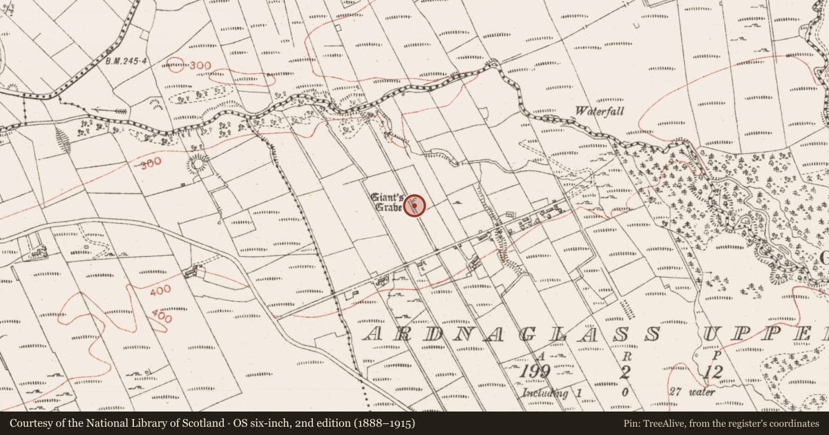 Ordnance Survey six-inch map, 2nd edition (1888–1915) covering the location of Megalithic tomb - passage tomb, Ardnaglass Upper, County Sligo, with a pin at the register's coordinates