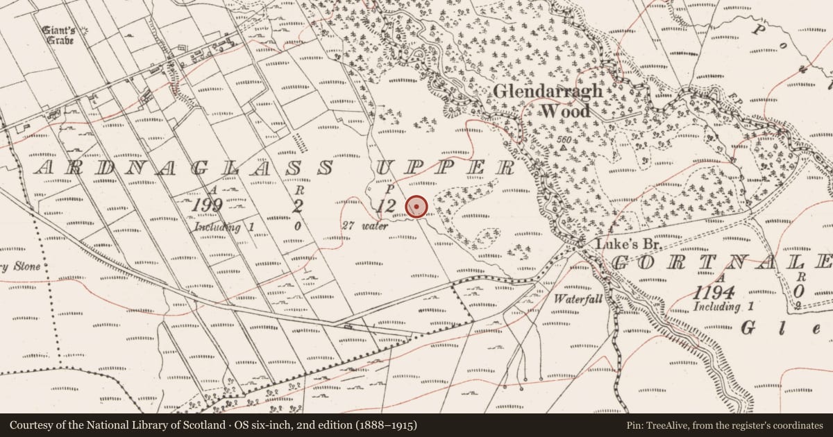 Ordnance Survey six-inch map, 2nd edition (1888–1915) covering the location of Megalithic tomb - unclassified, Ardnaglass Upper, County Sligo, with a pin at the register's coordinates