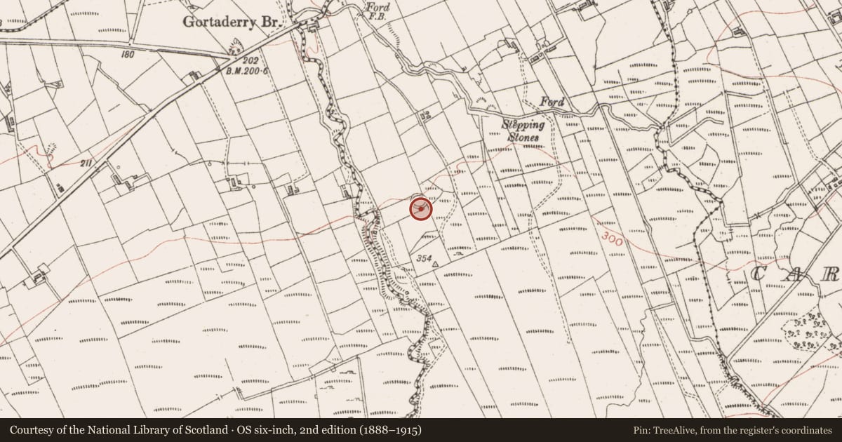 Ordnance Survey six-inch map, 2nd edition (1888–1915) covering the location of Ringfort - cashel, Lyle, County Sligo, with a pin at the register's coordinates