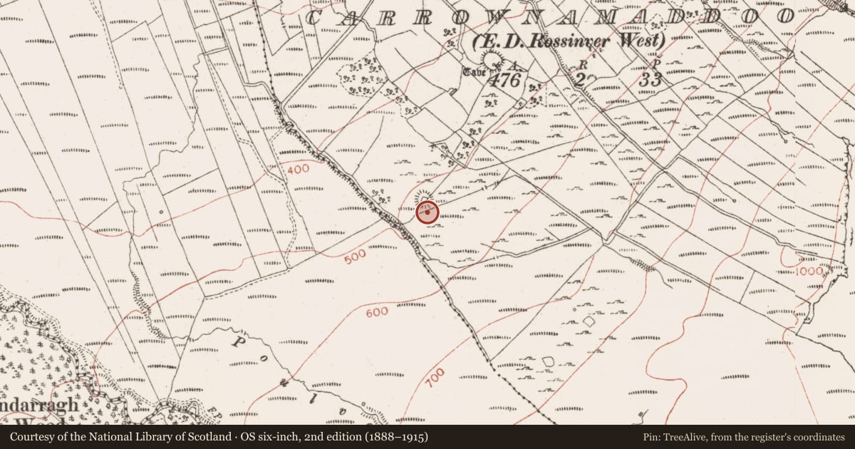 Ordnance Survey six-inch map, 2nd edition (1888–1915) covering the location of Ringfort - cashel, Carrownamaddoo, County Sligo, with a pin at the register's coordinates