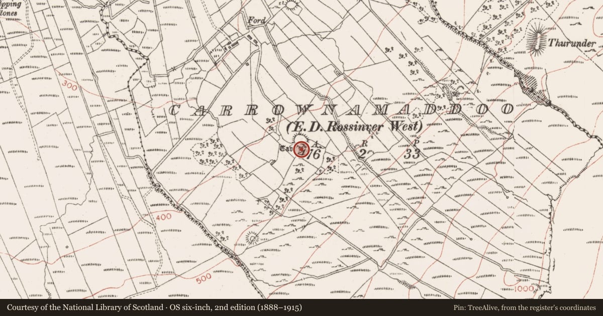 Ordnance Survey six-inch map, 2nd edition (1888–1915) covering the location of Ringfort - cashel, Carrownamaddoo, County Sligo, with a pin at the register's coordinates
