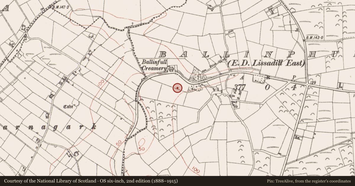 Ordnance Survey six-inch map, 2nd edition (1888–1915) covering the location of Ringfort - unclassified, Ballinphull, County Sligo, with a pin at the register's coordinates