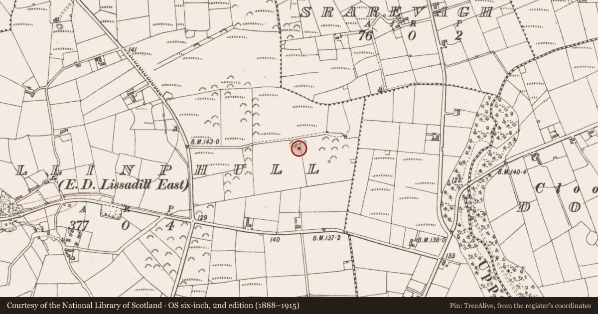 Ordnance Survey six-inch map, 2nd edition (1888–1915) covering the location of Barrow - bowl-barrow, Ballinphull, County Sligo, with a pin at the register's coordinates