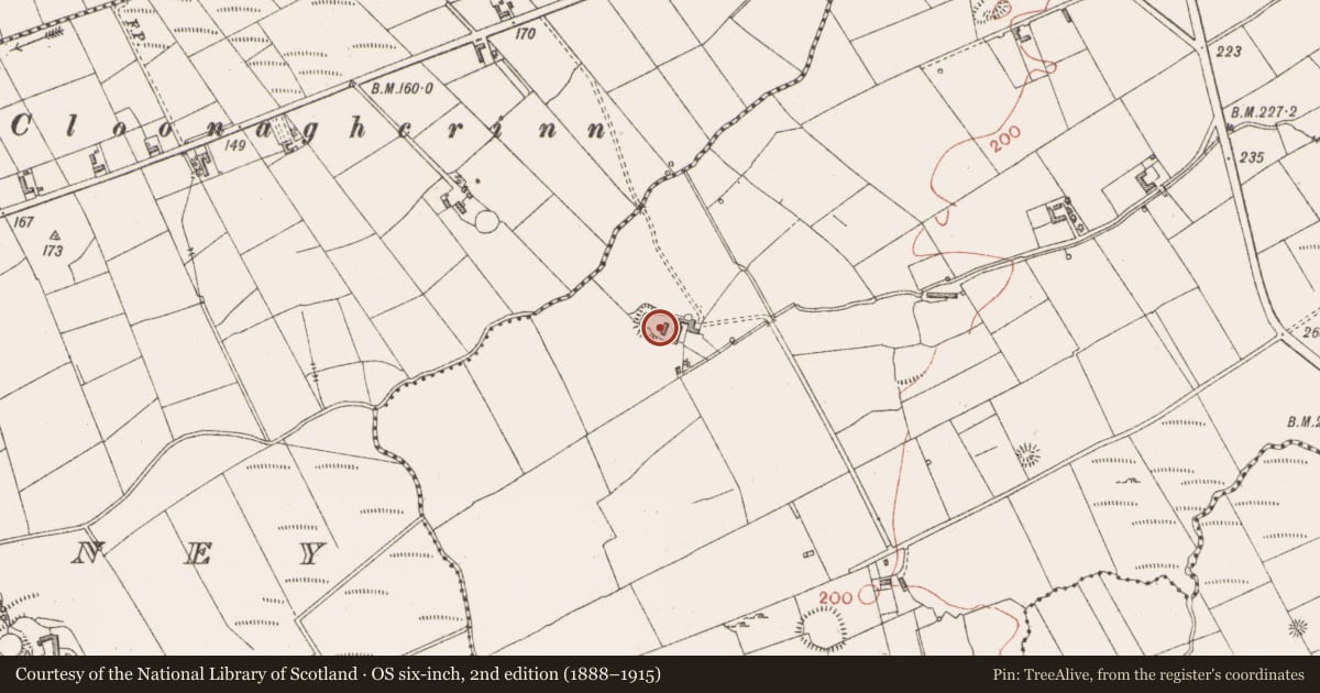 Ordnance Survey six-inch map, 2nd edition (1888–1915) covering the location of Ringfort - cashel, Mullaghnaneane, County Sligo, with a pin at the register's coordinates