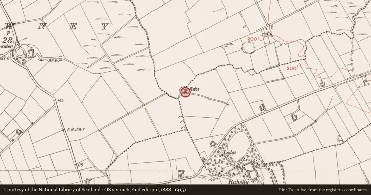 Ordnance Survey six-inch map, 2nd edition (1888–1915) covering the location of Ringfort - rath, Cashelgarran, County Sligo, with a pin at the register's coordinates