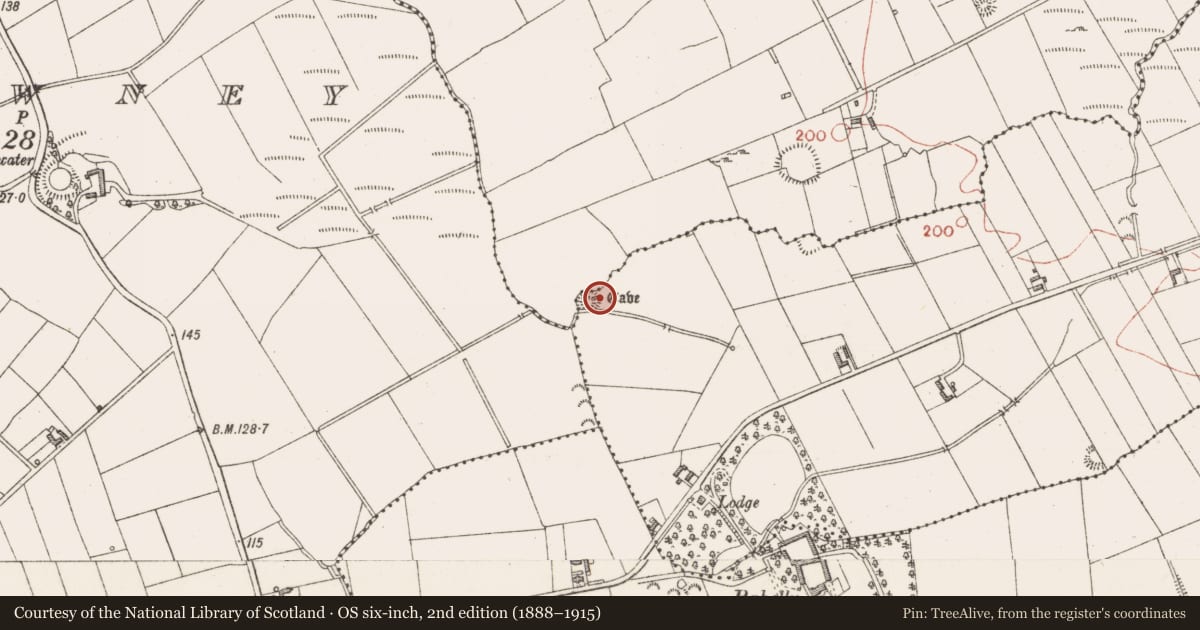 Ordnance Survey six-inch map, 2nd edition (1888–1915) covering the location of Souterrain, Cashelgarran, County Sligo, with a pin at the register's coordinates