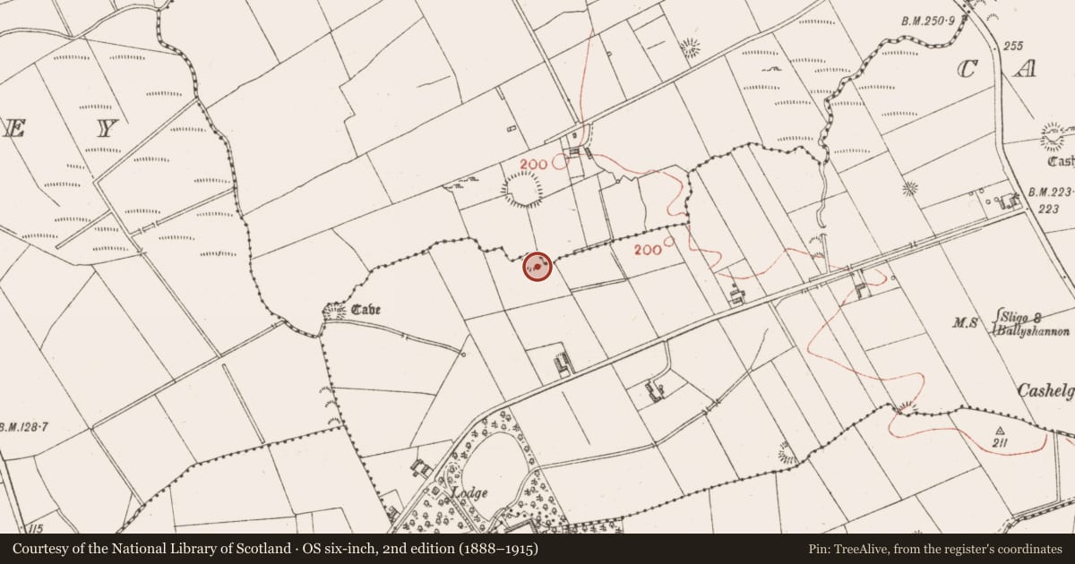 Ordnance Survey six-inch map, 2nd edition (1888–1915) covering the location of Ringfort - rath, Cashelgarran, County Sligo, with a pin at the register's coordinates