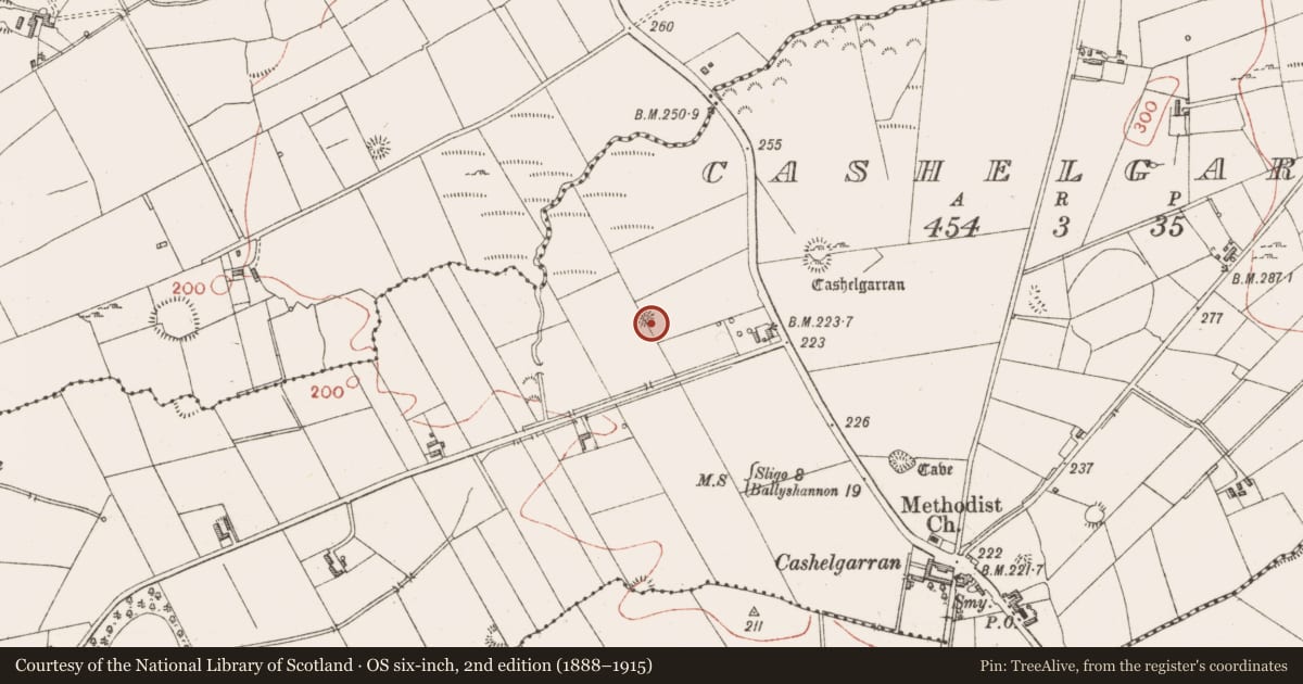 Ordnance Survey six-inch map, 2nd edition (1888–1915) covering the location of Barrow - ring-barrow, Cashelgarran, County Sligo, with a pin at the register's coordinates