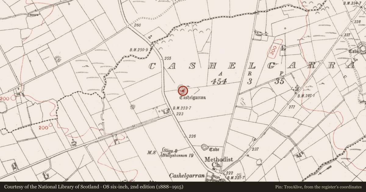 Ordnance Survey six-inch map, 2nd edition (1888–1915) covering the location of Ringfort - cashel, Cashelgarran, County Sligo, with a pin at the register's coordinates